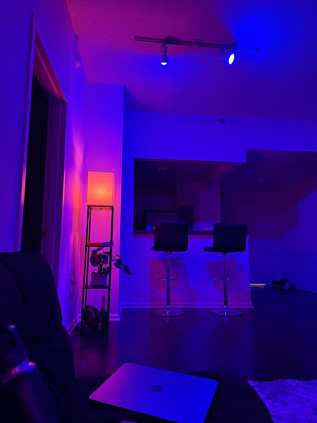 Cheap Rent with a perfect view, better then your dreams - 3